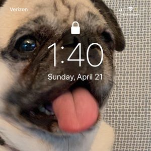 Meet your Posher, Header